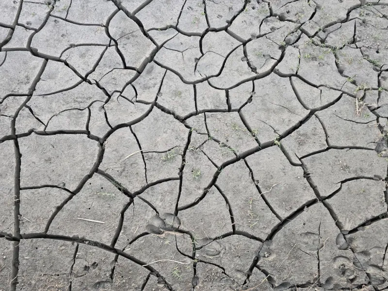 When the Rain Stops: How Prolonged Drought Quietly Undermines Septic System Health