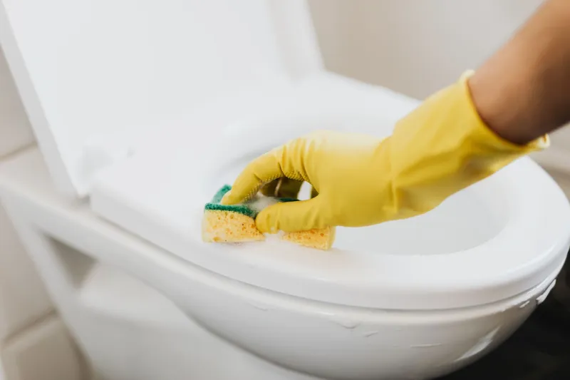 Flushed Away: The Everyday Household Products Quietly Destroying Your Septic System