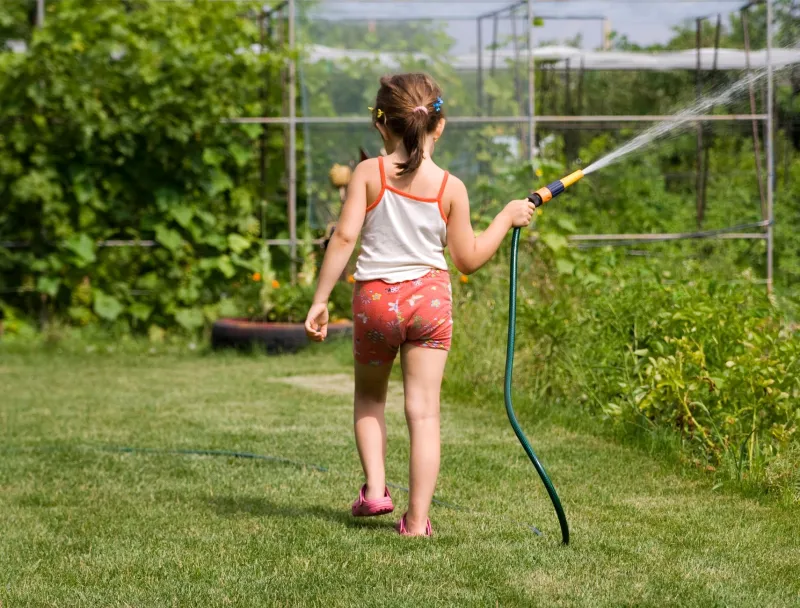 Seven Septic Myths Your Neighbors Swear By—And Why Believing Them Is Draining Your Wallet