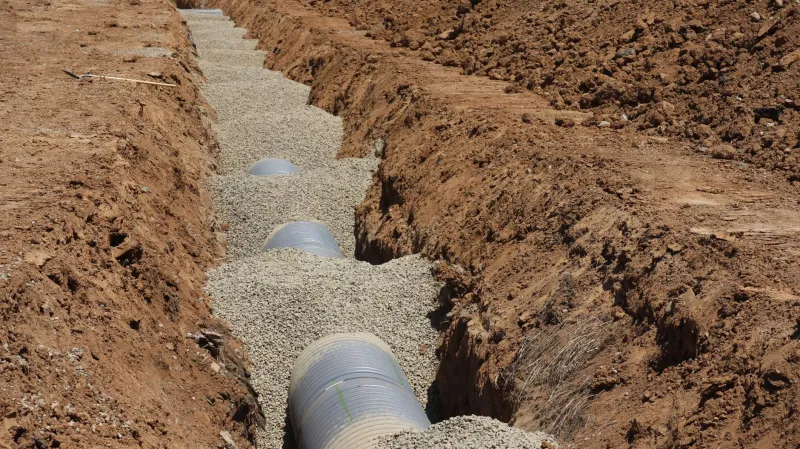 Roots of Ruin: How Landscaping Choices Can Silently Destroy Your Septic System